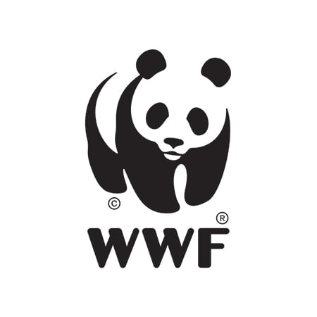 WWF NZ – Nature Is In NZ’s First Emissions Reduction Plan But Where Is Our Ocean?