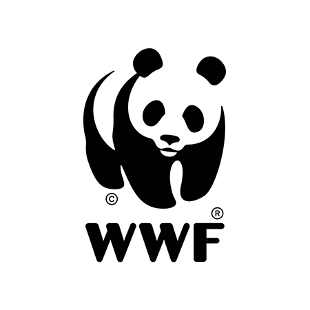 WWF NZ – Nature Is In NZ’s First Emissions Reduction Plan But Where Is Our Ocean?