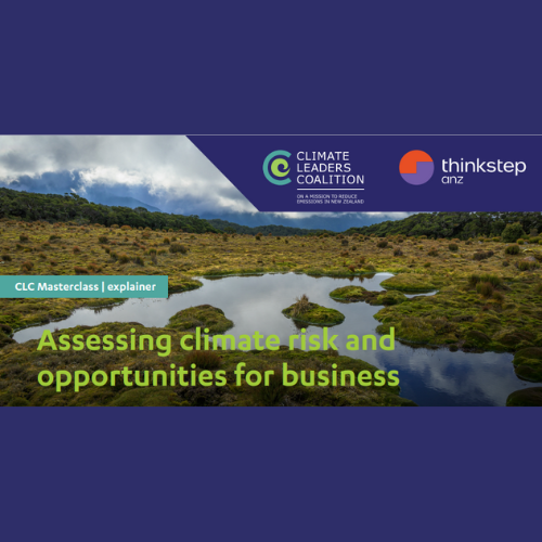 CLC Masterclass Explainer: Assessing climate risk and opportunities for business