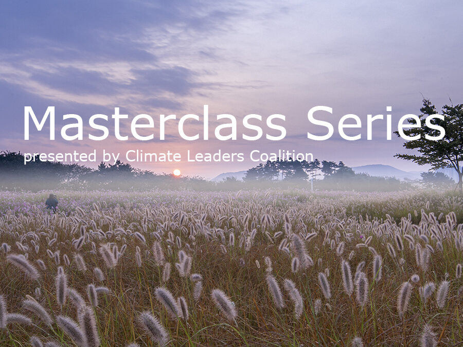 CLC Masterclass Series: Driving Sustainable Change – Vector’s Scope 3 Emissions Journey