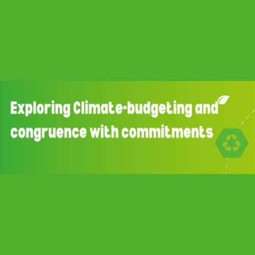 Exploring climate-budgeting and congruence with commitments (NZIER)