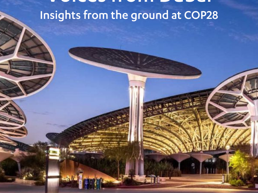 Voices from Dubai: Insights from the ground at COP28