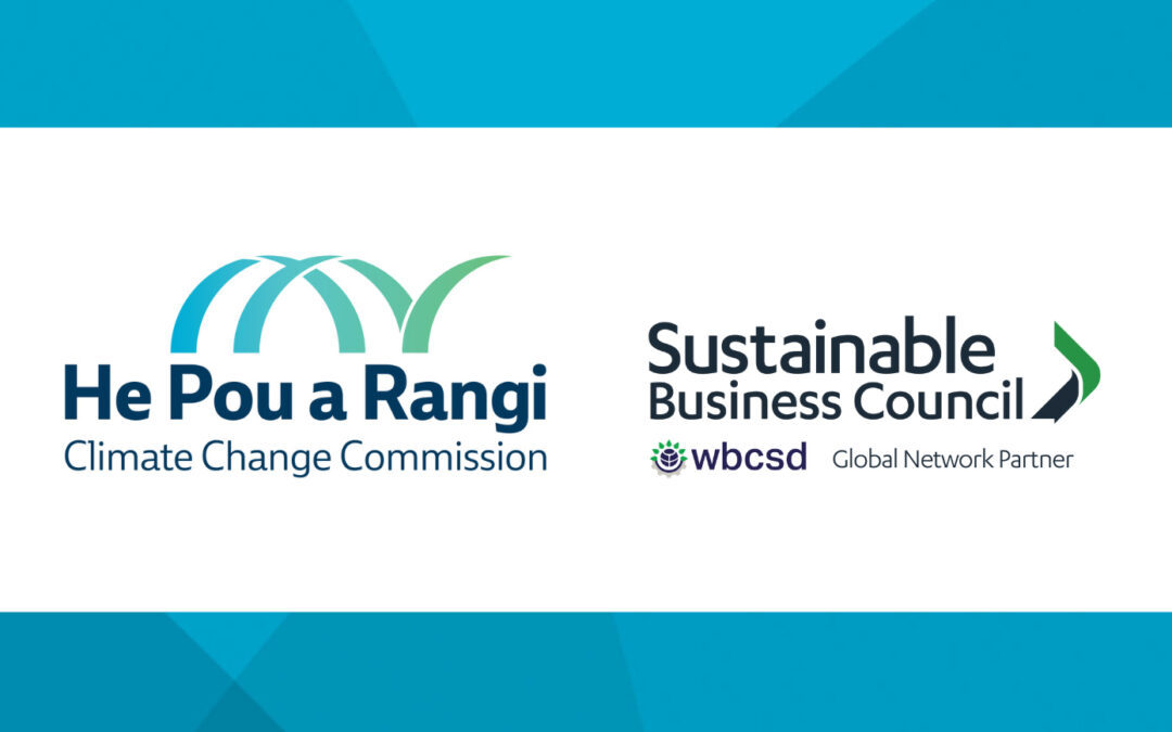 Consultation preview: He Pou a Rangi Climate Change Commission and SBC