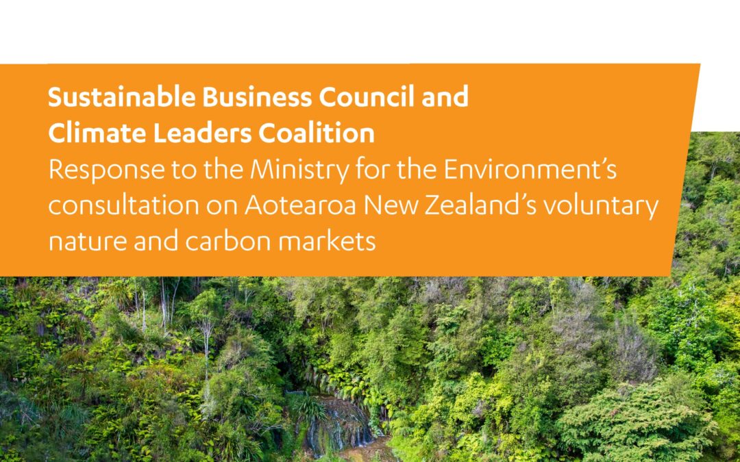 SBC and CLC response to MfE on Aotearoa New Zealand’s voluntary nature and carbon markets