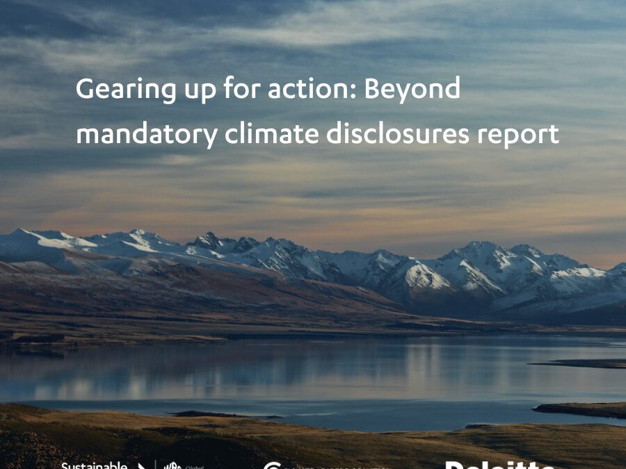 Gearing up for action: Beyond mandatory climate disclosures